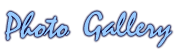 photogallery